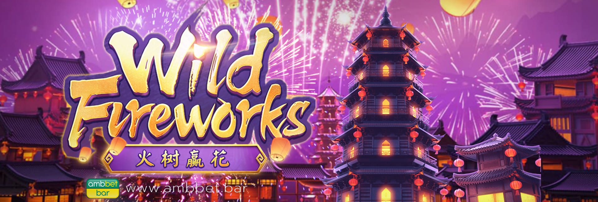 Wild Fireworks banner