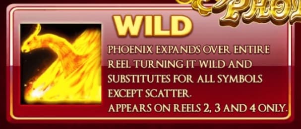 Wild Phoenix 888