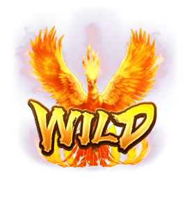 phoenix wild