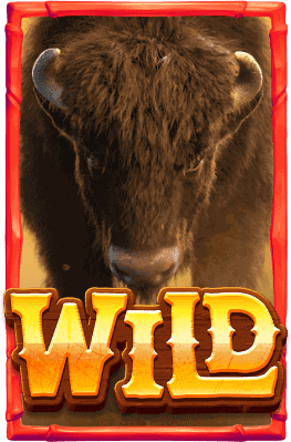 wild-Buffalo Win