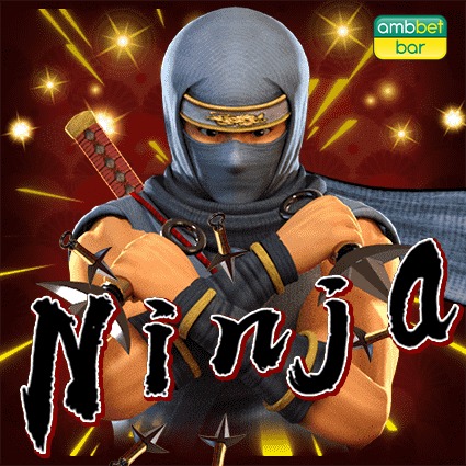Ninja demo_200_11zon