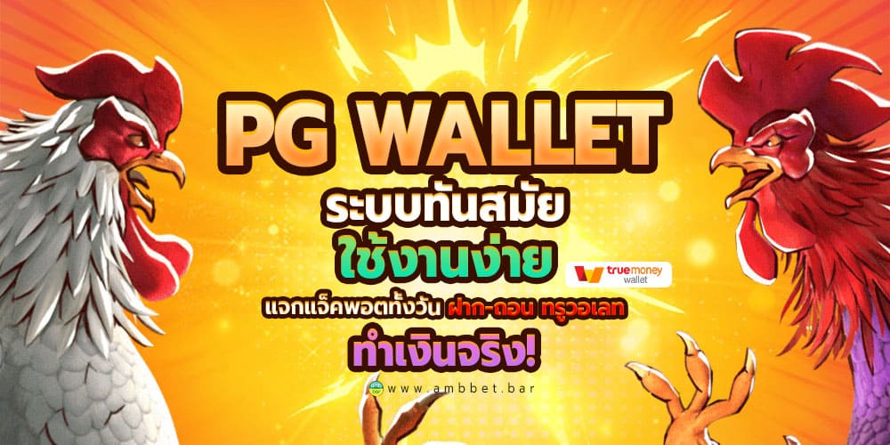 pg wallet modern system easy to use